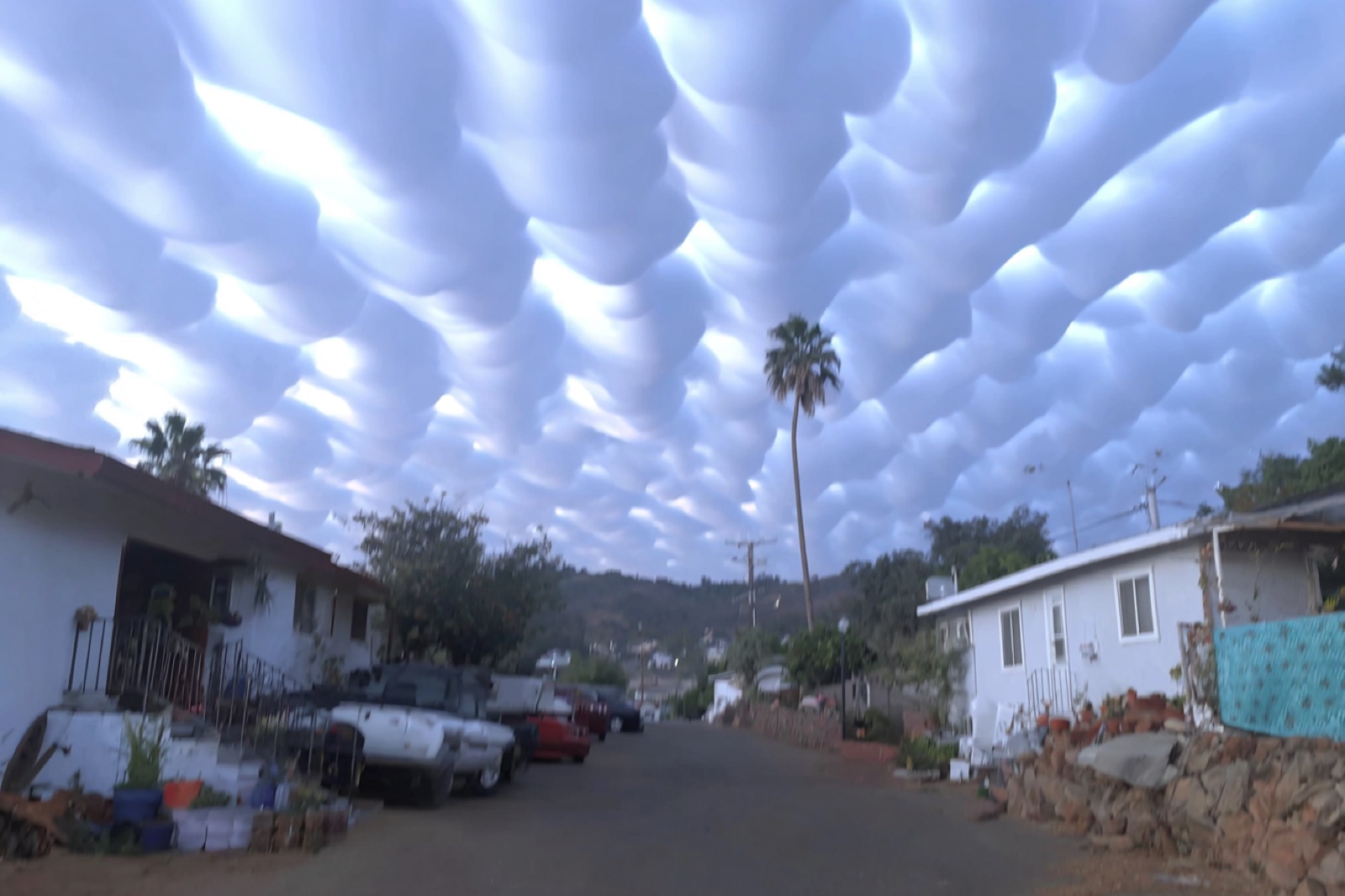 AI-generated composition created by Sally