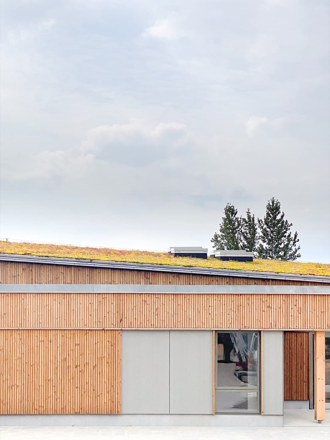 Mathilde Friis Olsen